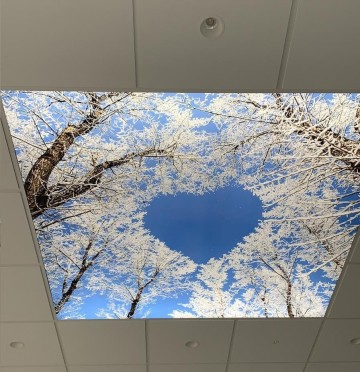 120x120 wolkenplafond